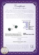 Product certificate: AK-B-AA-78-E