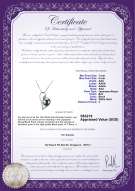 Product certificate: AK-B-AAA-78-P-Carlin