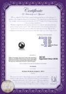 Product certificate: AK-B-AAA-89-L1