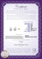 Product certificate: AK-W-AAA-78-E-Eternity-YG