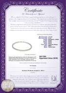 Product certificate: AK-W-AAAA-758-N-Hana-23