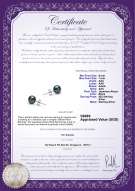 Product certificate: B-AAA-657-E-Akoy