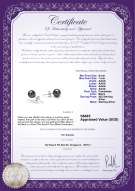 Product certificate: B-AAAA-67-E