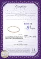 Product certificate: CAK-W-A+-78-N