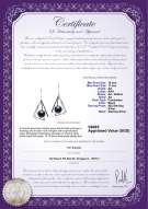Product certificate: FW-B-AA-1011-E-Nichelle