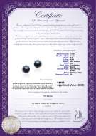 Product certificate: FW-B-AA-78-E-Louisa