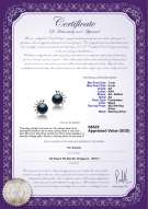 Product certificate: FW-B-AA-78-E-Marissa