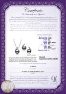 Product certificate: FW-B-AA-78-S-Claudia