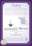 Product certificate: FW-B-AA-910-P-Angel