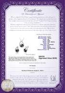 Product certificate: FW-B-AA-910-S-Isabella