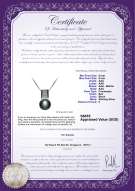 Product certificate: FW-B-AAA-89-P-Alina