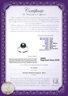Product certificate: FW-B-AAA-89-R-Dacey