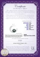 Product certificate: FW-B-AAA-910-P-Moon