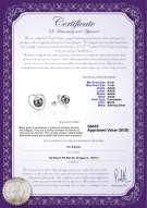 Product certificate: FW-B-AAAA-67-E-Winna