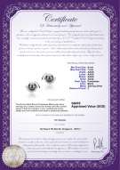 Product certificate: FW-B-AAAA-67-E-Zorina