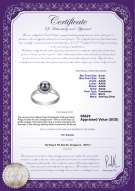 Product certificate: FW-B-AAAA-67-R-Joy