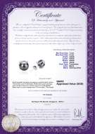 Product certificate: FW-B-AAAA-78-E-Britt