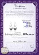 Product certificate: FW-B-AAAA-78-E-Marcia