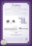 Product certificate: FW-B-AAAA-78-E-Raina