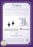 Product certificate: FW-B-AAAA-78-E-Star