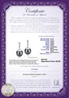 Product certificate: FW-B-AAAA-89-E-Aoife