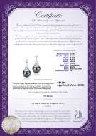 Product certificate: FW-B-AAAA-89-E-Eiffer-Tower