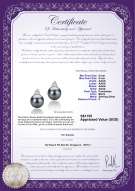 Product certificate: FW-B-AAAA-89-E-Evelyn