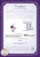 Product certificate: FW-BPW-AAAA-67-P-Grape