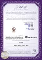 Product certificate: FW-L-AAAA-78-L1