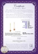 Product certificate: FW-P-AAAA-67-E-Misha