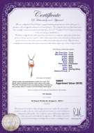 Product certificate: FW-P-AAAA-78-P-Jennifer