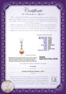 Product certificate: FW-P-AAAA-910-P-Rozene