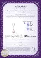 Product certificate: FW-W-AA-1011-P-Rabia