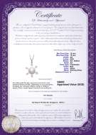 Product certificate: FW-W-AA-1213-P-Besty