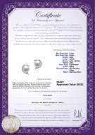 Product certificate: FW-W-AAA-56-E-Dolphin