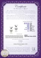 Product certificate: FW-W-AAA-89-E-Heart