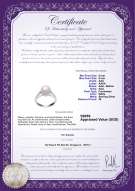 Product certificate: FW-W-AAA-89-R-Erica