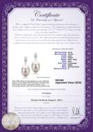 Product certificate: FW-W-AAA-910-E-Karley