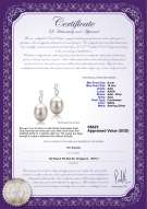 Product certificate: FW-W-AAA-910-E-Lucille