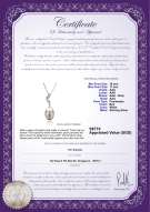 Product certificate: FW-W-AAA-910-P-Deborah