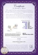 Product certificate: FW-W-AAAA-1011-E