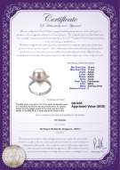 Product certificate: FW-W-AAAA-1011-R-Billy