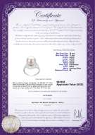 Product certificate: FW-W-AAAA-1011-R-Maddie