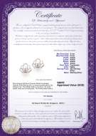 Product certificate: FW-W-AAAA-556-E-Princess