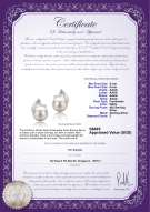 Product certificate: FW-W-AAAA-556-E-Tanita