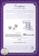 Product certificate: FW-W-AAAA-56-E-Jalena