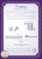 Product certificate: FW-W-AAAA-67-E-Winna