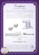 Product certificate: FW-W-AAAA-67-E-Zorina