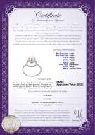 Product certificate: FW-W-AAAA-67-R-Andy