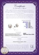 Product certificate: FW-W-AAAA-78-E-Britt